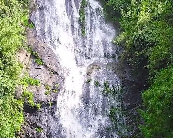 逃离森林湖畔